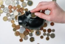 top funds for growth