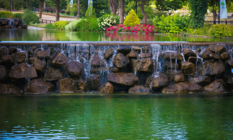 Balancing Beauty and Function: How Pond Fountains Improve Water Health