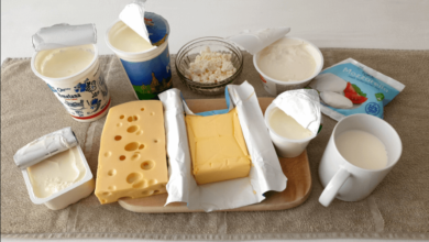 The Growing Importance of Dairy Ingredients in Everyday Nutrition