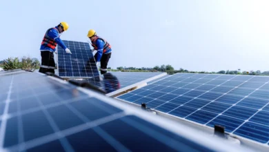Eco-Friendly Choices: How the Best Solar Panel Companies Support Sustainability