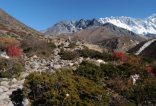 How to Prepare for the Everest Short Trek – Tips for First-Time Trekkers