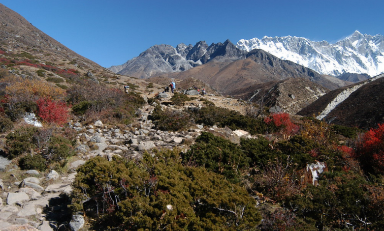 How to Prepare for the Everest Short Trek – Tips for First-Time Trekkers