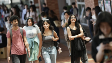 Understanding the Education Investment in Hong Kong