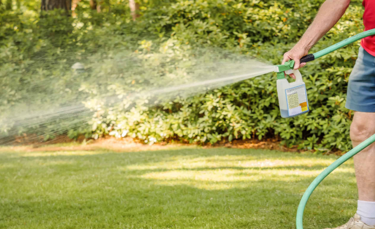 Effective Methods for Controlling Weeds in Outdoor Projects