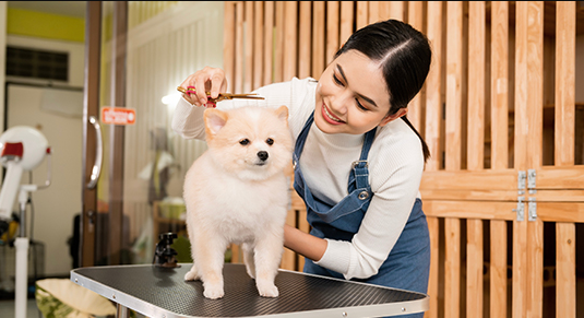 Why Professional Pet Grooming Services Are Essential for Your Pet’s Long-Term Health