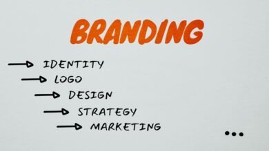 brand optimization strategy framework insights