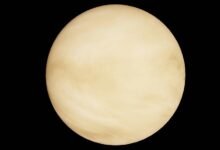 dynamic polaris orbit path