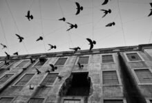 endless energy cycle momentum