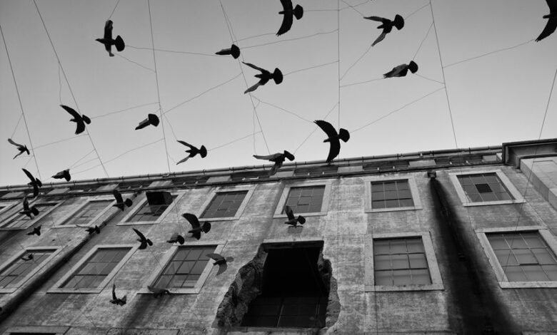 endless energy cycle momentum