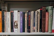 growth strategy authority insight