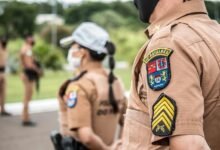 ranking authority growth blueprint