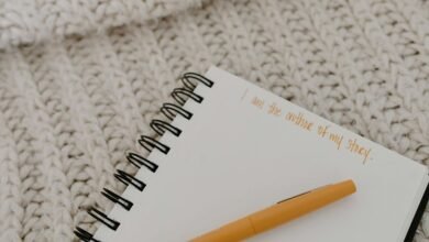 seo authority growth framework