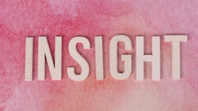 digital insight numeric exploration unlocks