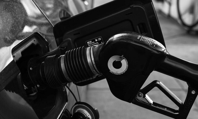 momentum gateway start contact search