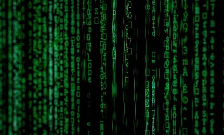 advanced record analysis identifiers and terms