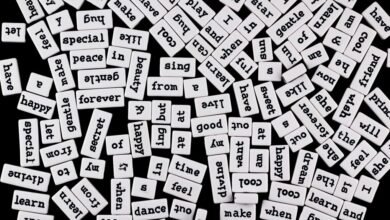 mixed entry validation foreign food names