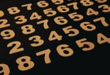phone numbers listed for technical entry check