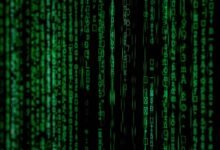 technical entry identifiers sshaylarosee 3348310681 htlbvfu 3801979997