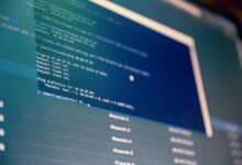 web system analysis identifiers and usernames listed