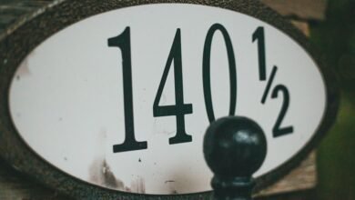 inspect specific number registry histories