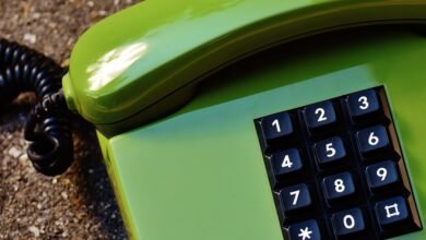 inspect specific number registry records