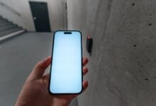 phone identity discovery report numbers listed