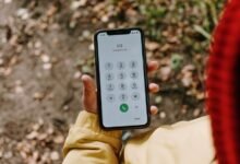 phone numbers for lookup