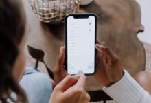 public number database search queries
