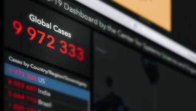 registry findings for five search numbers