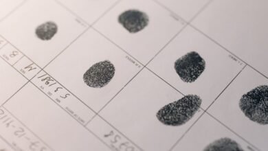 registry numbers searched for investigation