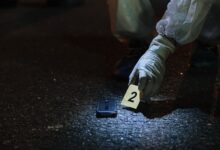 registry results for five ids investigation details
