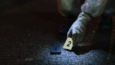 registry results for five ids investigation details