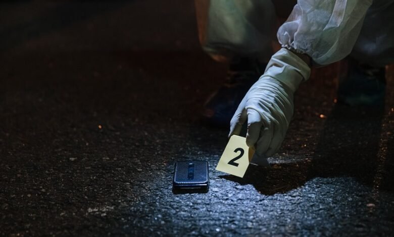 registry results for five ids investigation details