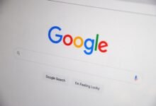 registry search identifiers reveal results