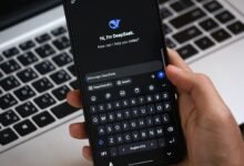 registry search numbers requested