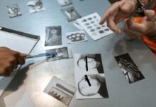 review numbers and evidence tracking ids