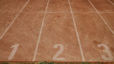 track numbers and search evidence listed