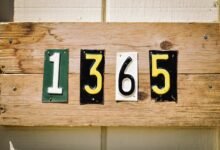 verified registry ids and details revealed